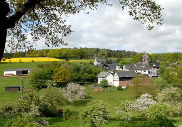 Wielspütz • Mechernich